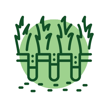 Raleigh Lawn Aeration Service Icon