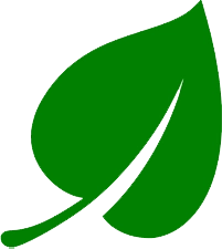 Raleigh Spring Cleanup Service Icon